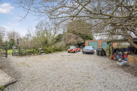 Rear Yard