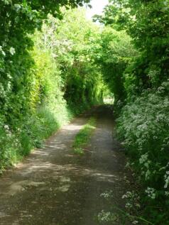 Rackenford Seddons