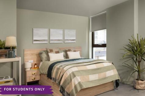 Roomy Studio Example