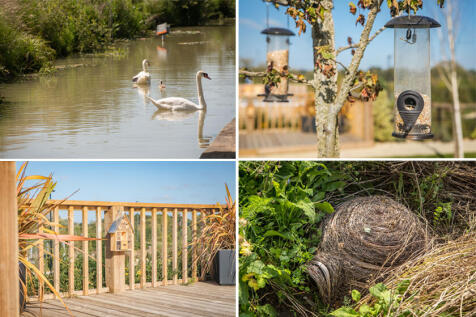 Orchards Rise lifestyle 4