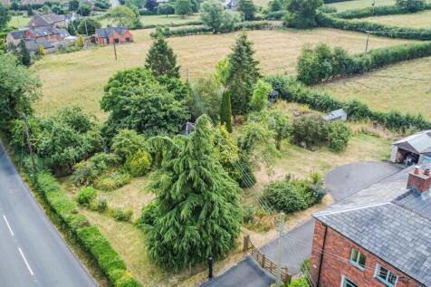 dji_fly_20260714_111610_568_1784024223271_photo_op
