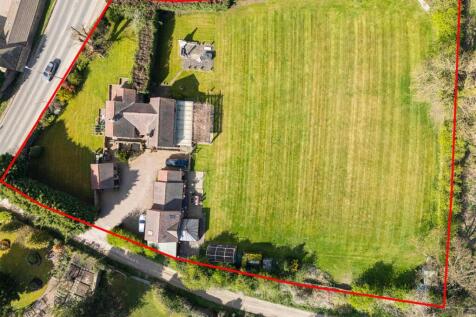 redline - Edited.jpg