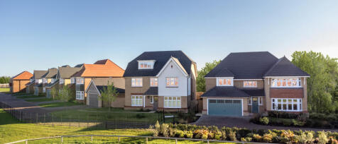 A row of modern detached houses with varied roof designs and colours, set in a lush green landscape