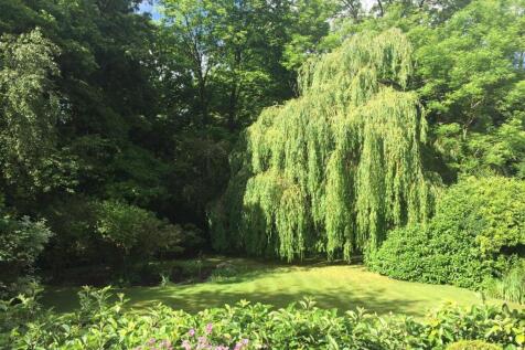 summer garden.jpg