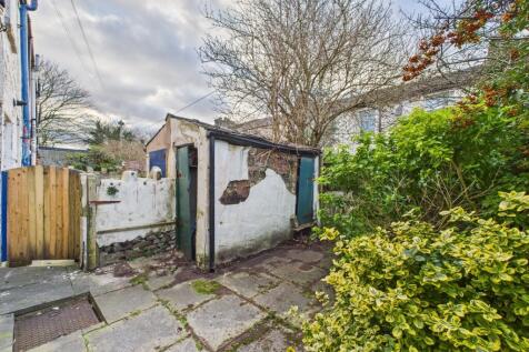 Rear Yard