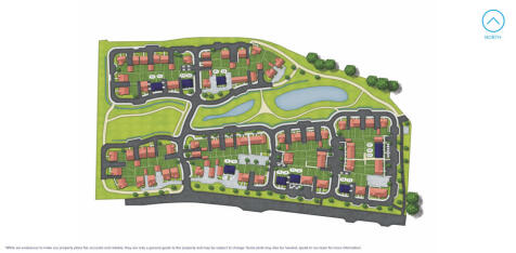 Plot image