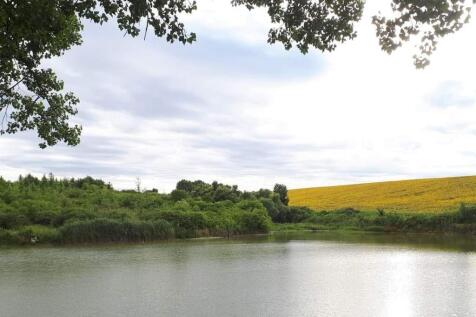Calm fishpond bordered by green bushes and a yellow field in the distance beneath an overcast sky.