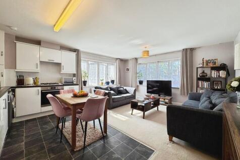 Reception/kitchen/lounge