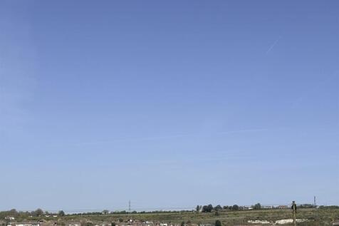 IMG_0145.JPEG
