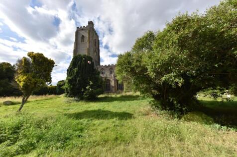 13 Medium T202601141431.jpg