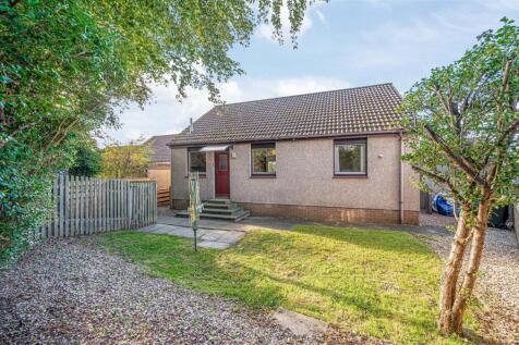 untitled (19 of 1).JPG