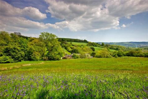 Views
