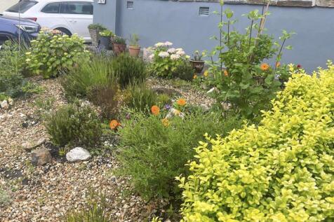 Front garden.jpg
