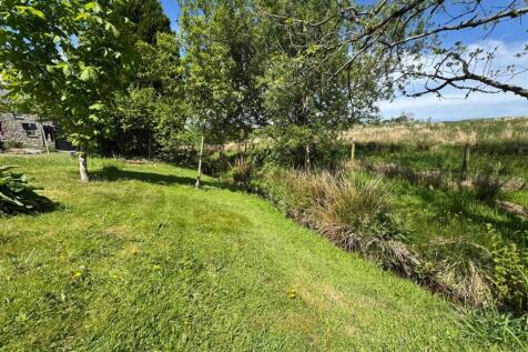 PHOTO-2025-05-16-06-46-24 (7).jpg