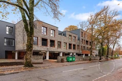 Sophia-Mews-29.jpg