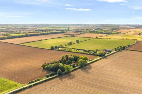 Ariel View