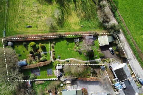 Birds Eye