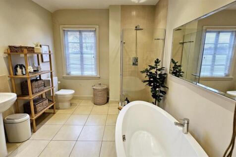 20250214_111806 (Large).jpg