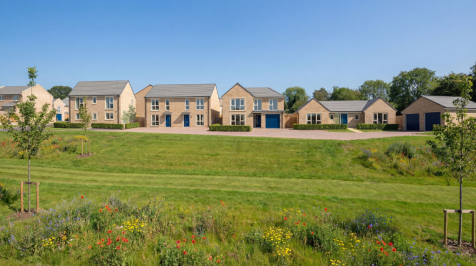 primary property image