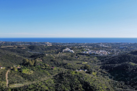 Plot views
