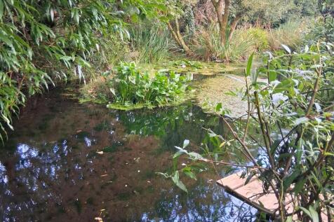 1000009133 - Copy.jpg