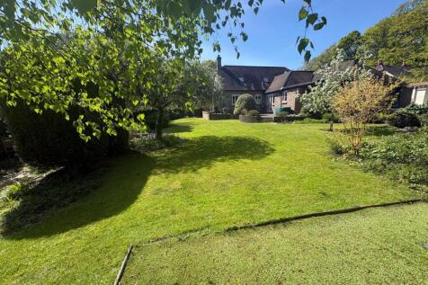 garden 1.jpeg