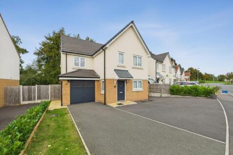 CAM05049G0-PR0120-STILL003-001 (1).jpg