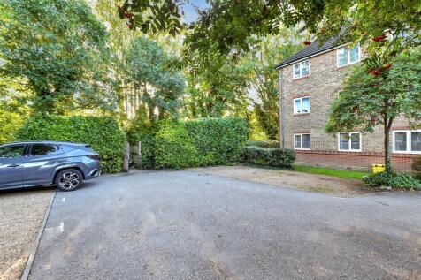 Driveway/Parking
