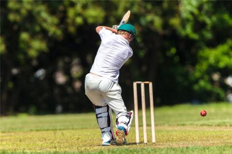 Cricket