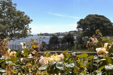 View from flat
