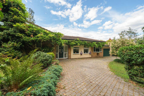 1313636-3-6866905...