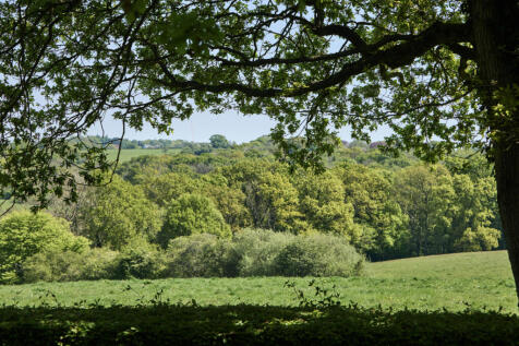 281915 - DGLA6872.jpg