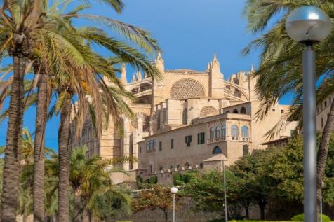 Palma 4