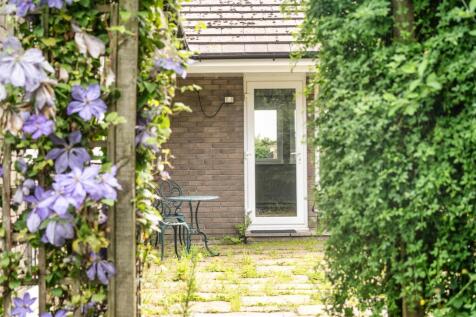 Garden 9.jpg