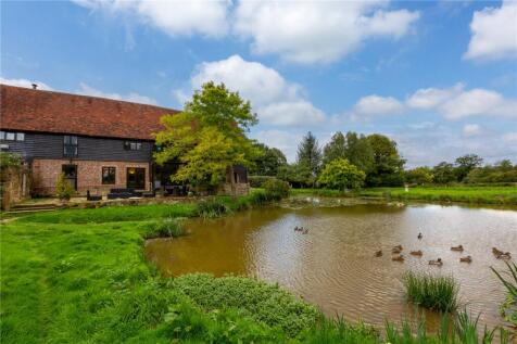 Pond