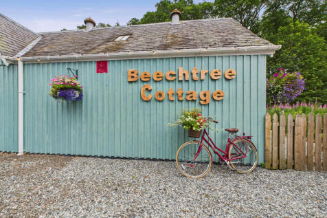 CAM03185G0-PR0112-STILL015