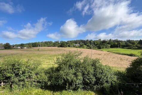 View at Back