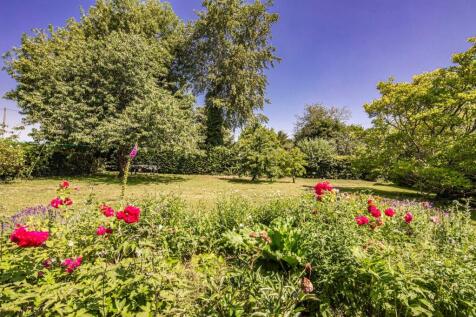 Property Image 39