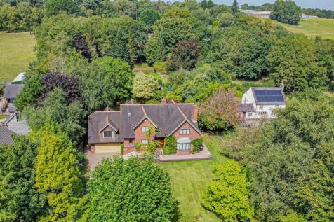 dji_fly_20250813_135006_658_1755089695953_photo_op