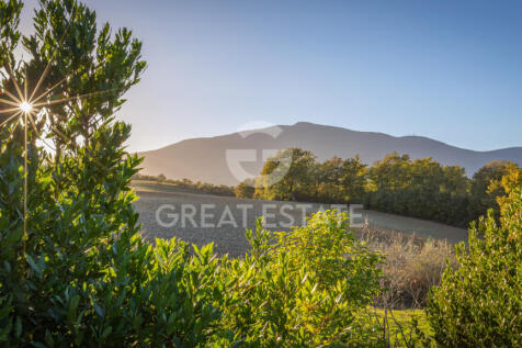 Panorama e Particolari