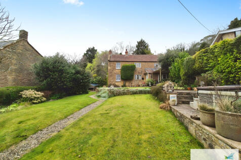 fe618ddc-10000250...