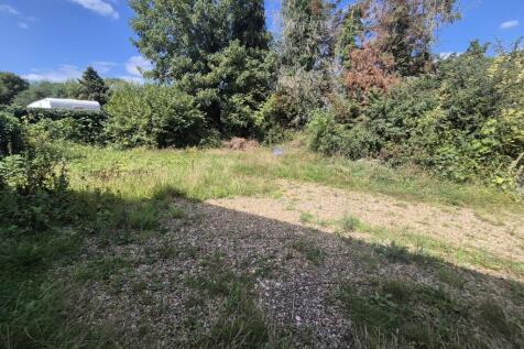 20250808 122226 Medium T202509191246.jpg