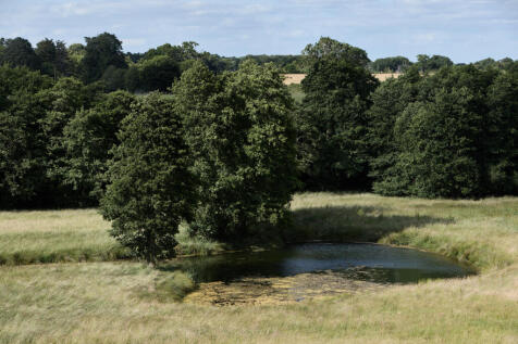 296093 - DGLA3697.jpg