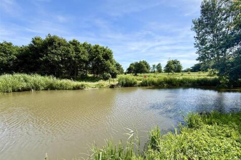 Town Green Ponds