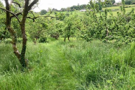 Greenmount Orchard