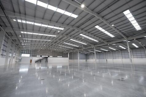 TTTEL7darylscottwalkerjpg