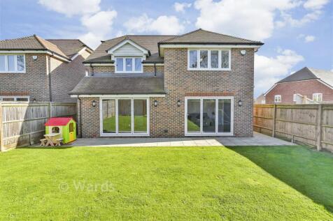 Rear Elevation