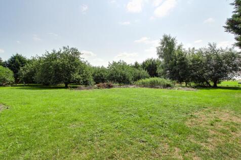 Orchard & Open Grassed Area