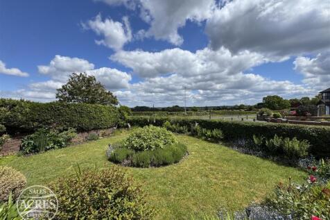 IMG_2486 (Large).jpg
