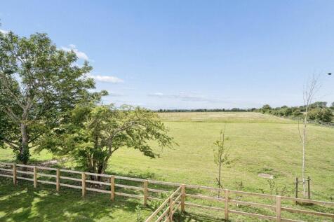 View Onto Paddock